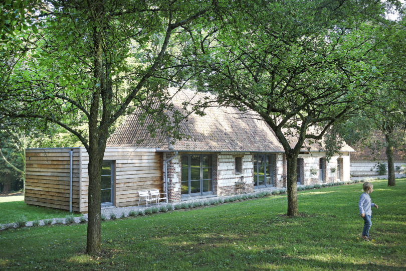 Baie de Somme: a nest for families hidden away in the woods