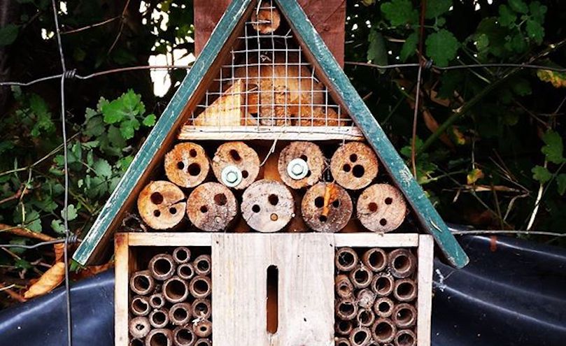 Spitalfields City Farm: A Family Farm in the Heart of Brick Lane