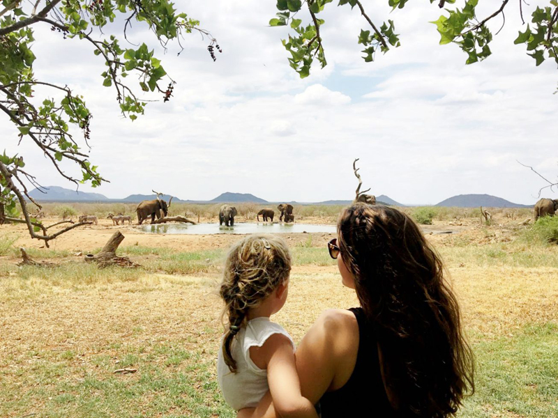 Afrique du Sud : nos conseils pour organiser un safari en famille