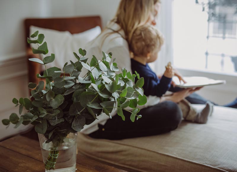 How to create a healthy home environment when your family is growing