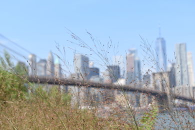 Brooklyn bridge 2