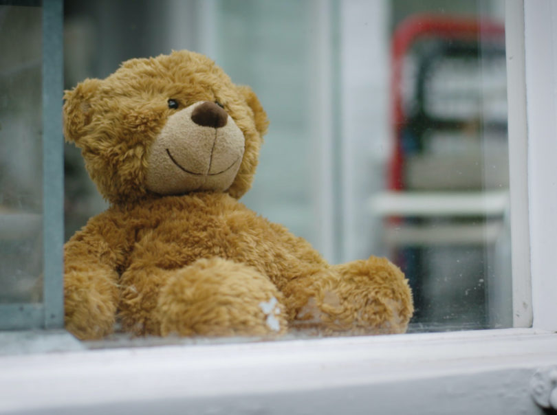 Teddy in window