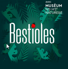 bestioles