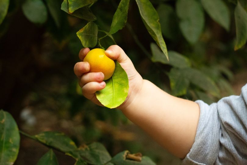 Famille green : 5 astuces simples pour réduire le plastique