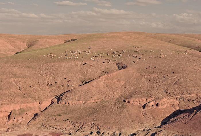 La_Pause_Marrakech_Desert_