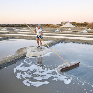 Guérande marais salants