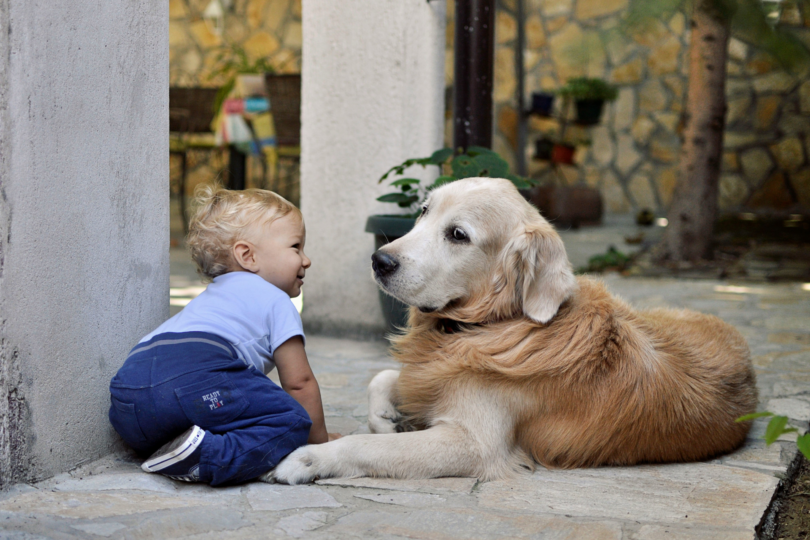 Avant d’adopter un animal avec des enfants, lisez ça