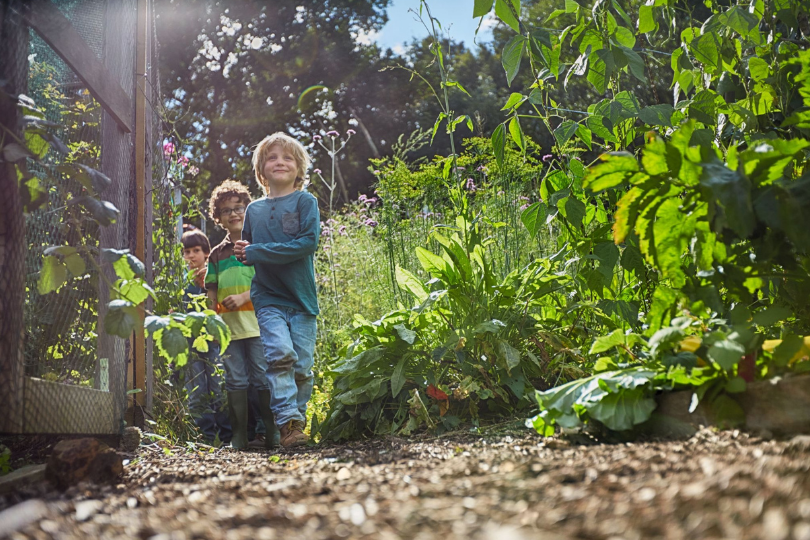 Créer un jardin qui grandit avec les enfants : idées pour un extérieur beau, pratique et évolutif