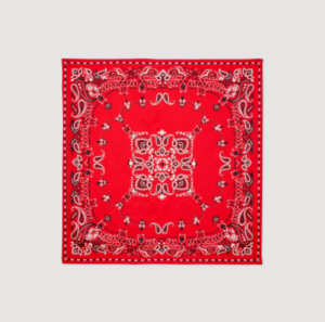 Foulard Sandro 