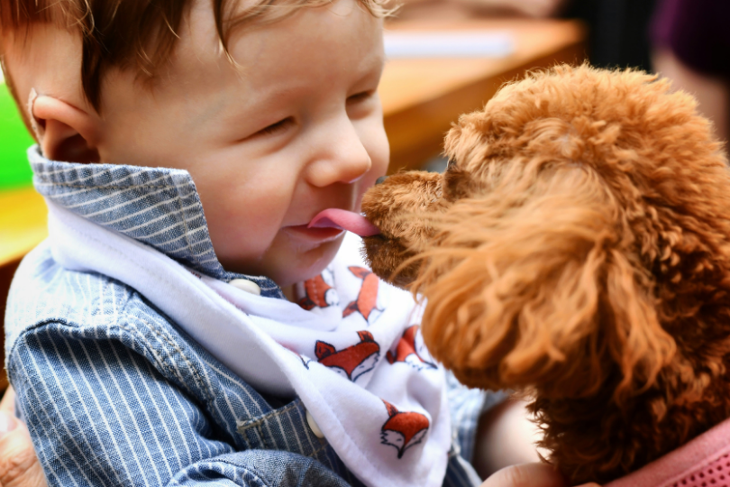 Le Woofest débarque près de Paris : le festival canin ultra kids-friendly de la rentrée