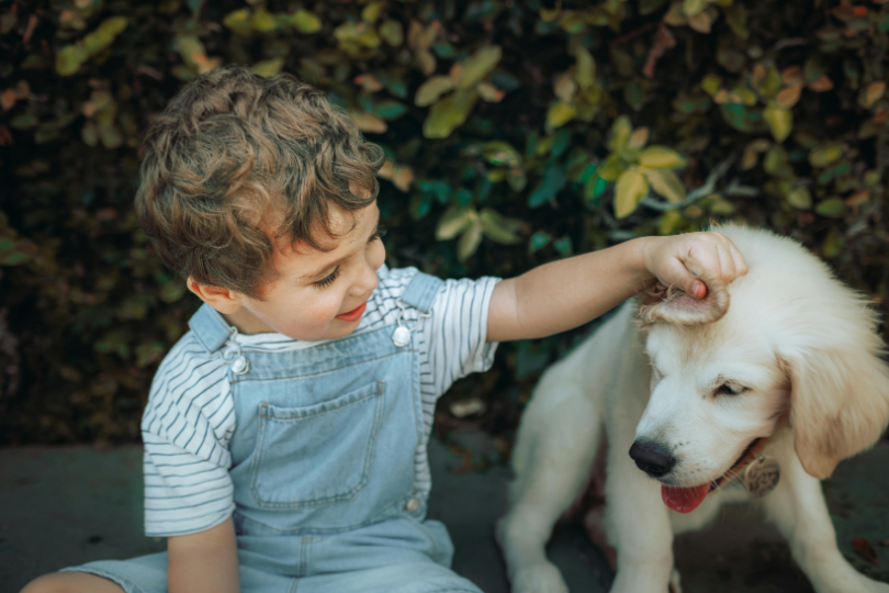 4 villes où partir en vacances avec son chien sans prise de tête